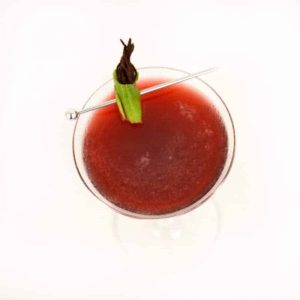 Perfect Hibiscus Cocktail