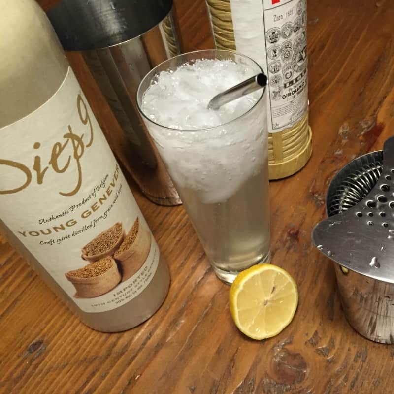 Gin Daisy cocktail in a highball glass with ingredients