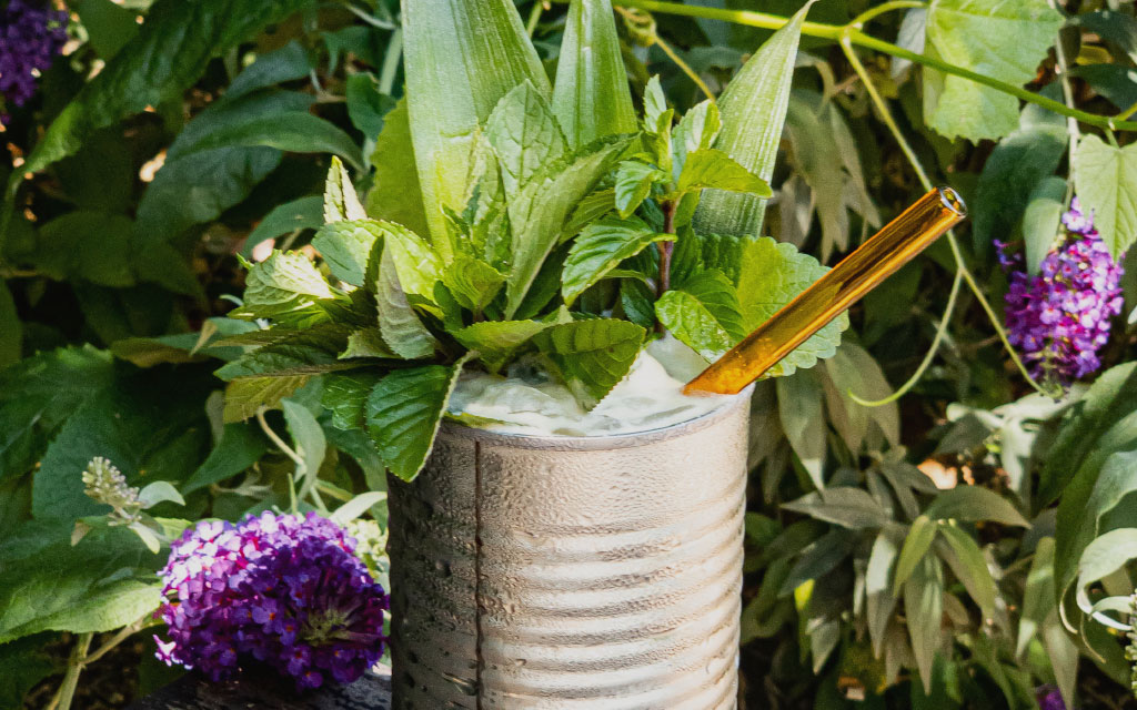 BlogImage5 Easy Ways To Beautify Your Cocktail