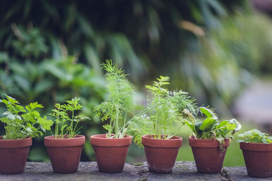 Photo by Markus Spiske via Unsplash