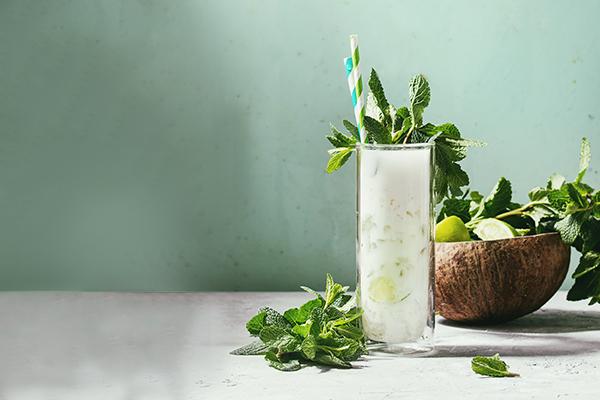 best mojito recipe